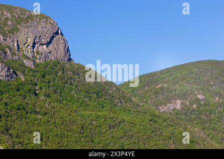 Ein Abschnitt des Eagle Cliff in Franconia Notch in den New Hampshire White Mountains. Diese Klippe wurde 1858 vom Reverend Thomas Hill nach ihm benannt Stockfoto