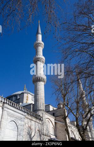 Kannelierte Minarette, Blaue Moschee (auch Sultan-Ahmed-Moschee genannt), 1609, UNESCO-Weltkulturerbe, Sultanahmet, Istanbul, Türkei Stockfoto