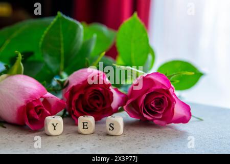 Ja Ausrufewort mit rosa Rosen Blumen auf dem Steintisch. Stockfoto