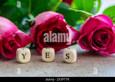 Ja, Ausrufewort, das schöne rosa Blumen auf dem Steinhintergrund verdankt. Stockfoto