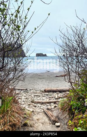 Erster Blick auf Second Beach im Olympic National Park, WA Stockfoto