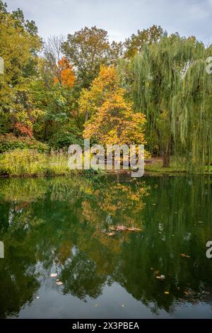 Ruhige Schönheit des Herbstes mit einem Baum in leuchtenden Gelb- und Orangetönen, dessen Reflexion sich im ruhigen Wasser eines stillen Sees in Ashburn spiegelt Stockfoto