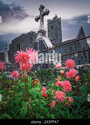 Die Quin Abbey ist eine verlassene Franziskanerabtei im County Clare in Irland. Die letzten Brüder räumten Anfang der 1800er Jahre aus Stockfoto