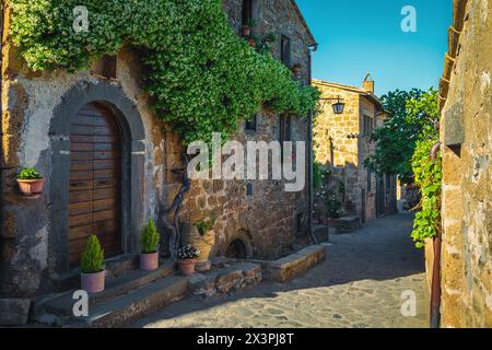 Spektakulär angeordnete duftende Jasminblume an der Wand des Steinhauses, Civita di Bagnoregio, Provinz Viterbo, Latium, Italien, Europa Stockfoto