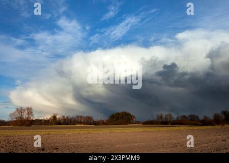 Eine sich nähernde Sturmfront mit grauer Wolke, Nowiny, Ostpolen Stockfoto