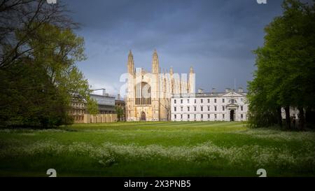 Das College des Königs in cambridge im Abendlicht Stockfoto