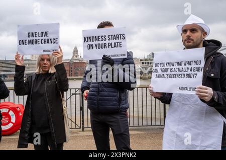 London, Großbritannien. April 2024. Vegane Demonstranten halten während der Kundgebung Plakate. Die vegane Gruppe Radically Kind hielt eine Demonstration im Tate Modern am Südufer der Themse ab. Mit grafischen Bildern hoffen sie, Fleischesser in Veganismus zu verwandeln. (Foto: James Willoughby/SOPA Images/SIPA USA) Credit: SIPA USA/Alamy Live News Stockfoto