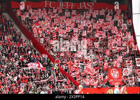 Mainz, Deutschland. April 2024. Fußball: Bundesliga, FSV Mainz 05 - 1. FC Köln, Spieltag 31, Mewa Arena. Die Kölner Fans feuern ihr Team an. Hinweis: Torsten Silz/dpa – WICHTIGER HINWEIS: gemäß den Vorschriften der DFL Deutscher Fußball-Liga und des DFB Deutscher Fußball-Bundes ist es verboten, im Stadion und/oder des Spiels aufgenommene Fotografien in Form von sequenziellen Bildern und/oder videoähnlichen Fotoserien zu verwenden oder zu nutzen./dpa/Alamy Live News Stockfoto