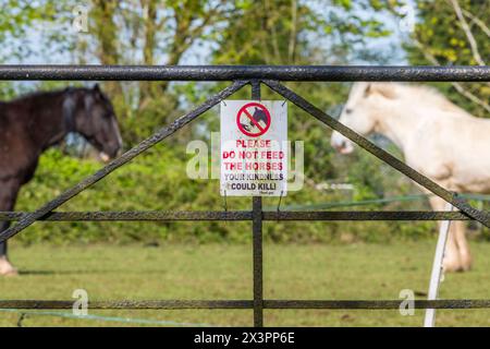 Füttern Sie die Pferde nicht, die Ihre Freundlichkeit töten könnte Zeichen, mit zwei Pferden im Hintergrund, Suffolk, Großbritannien. Stockfoto