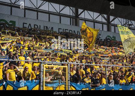 Dänemark. April 2024. Broendbys Fans vor dem 3F Superliga-Spiel zwischen dem FC Nordsjaelland und Broendby, FALLS rechts zum Dream Park in Farum, Sonntag, 28. April 2024. (Foto: Mads Claus Rasmussen/Ritzau Scanpix) Credit: Ritzau/Alamy Live News Stockfoto