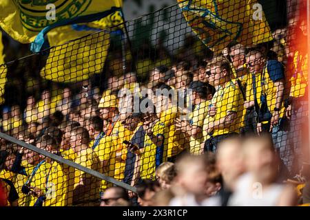 Dänemark. April 2024. Broendbys Fans während des 3F Superliga-Spiels zwischen dem FC Nordsjaelland und Broendby, FALLS sie am Sonntag, den 28. April 2024, rechts zum Dream Park in Farum reichten. (Foto: Mads Claus Rasmussen/Ritzau Scanpix) Credit: Ritzau/Alamy Live News Stockfoto