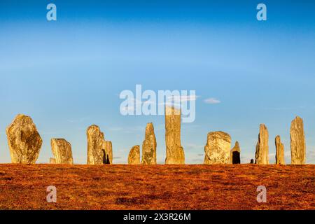 Die stehenden Steine von Callanish an einem Herbstabend vor einem klaren blauen Himmel. Stockfoto