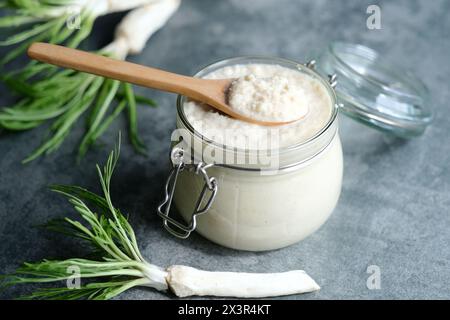 Handgemachte Meerrettichsoße in einem Glas mit einem Löffel darüber, Meerrettichwurzeln auf grauem Hintergrund. Gesundes veganes Essen, natürliche Zutaten. Stockfoto