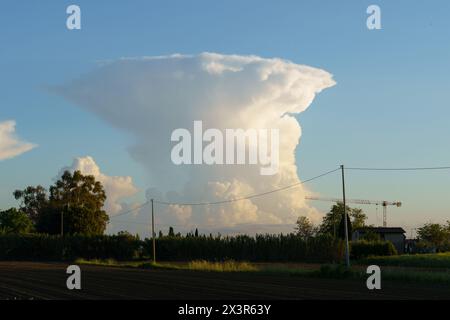 Eine riesige Wolke schwebt über einem weitläufigen Feld und dominiert den Himmel in einer eindrucksvollen Darstellung der Naturkraft. Stockfoto