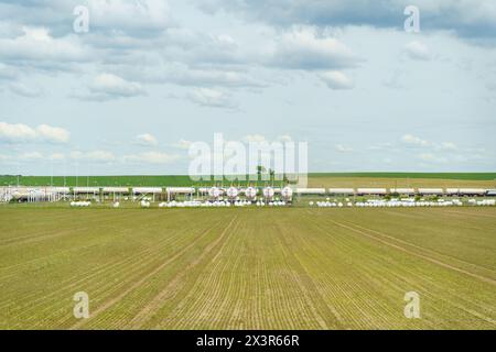 Ein riesiges Feld unter klarem Himmel mit Reihen von weißen Propan-Butantanks und Waggons. Stockfoto