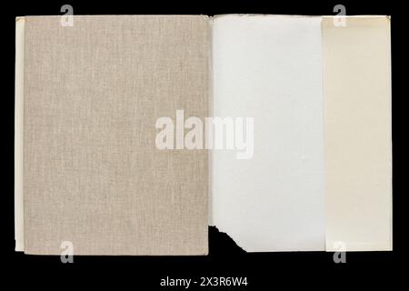 Kunstalbum von Boris Michailowitsch Kustodiew (russisch Борис Михайлович Кустодиев; 7. März 1878–28. Mai 1927) war ein russischer und später sowjetischer Maler und Bühnenbildner, der 1971 in der UdSSR erschien. Stockfoto