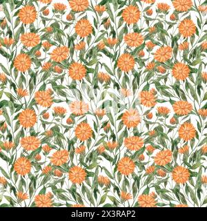 Botanisches Aquarellmuster der Ringelblume mit Blättern auf weißem Hintergrund. Die Abbildung ist handgezeichnet, geeignet für Menüdesign, Verpackung, Poster, Stockfoto