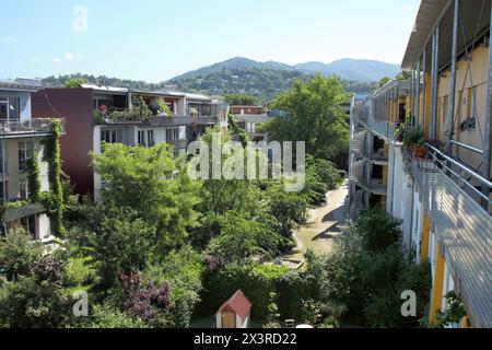 Wohnungen und üppige Landschaftsgestaltung in Vauban, einem nachhaltigen Vorort von Freiburg im Breisgau, Deutschland. Stockfoto