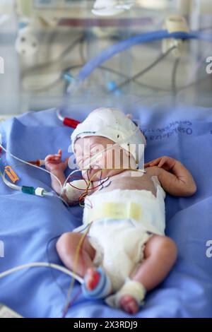 Neugeborene, Neugeborene Intensive care Unit, Donostia Hospital, San Sebastian, Donostia, Gipuzkoa, Baskenland, Spanien Stockfoto