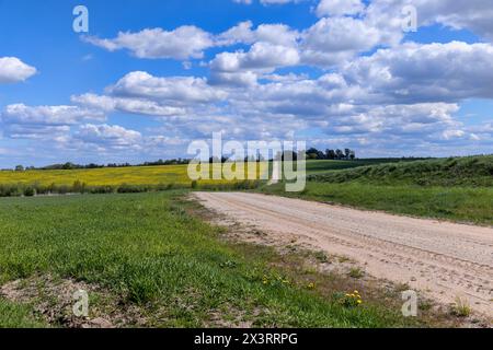 Unbefestigte Straße in ländlichen Gebieten im Frühjahr, unbefestigte Straße im Frühjahr, unbefestigte Straße in ländlichen Gebieten Stockfoto