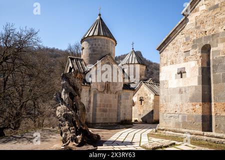 Alte Kirchen des Haghartsin-Klosters und die Überreste eines alten Walnussbaums. Armenien Stockfoto