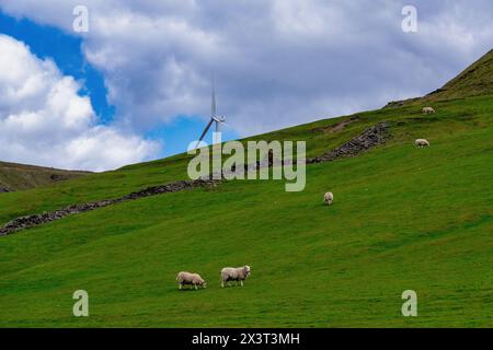 Panoramablick auf die Landschaft des Großraums Manchester mit grünen Feldern, Live-Vorrat und Windturbinen. Stockfoto
