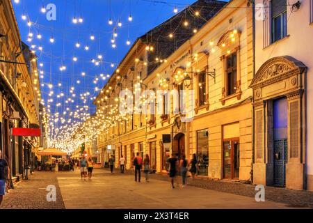 Vasile Alecsandri Straße in der Altstadt von Timisoara, Rumänien am Abend, bedeckt von einem Lichtnetz. Die Straße führt Piata Unirii (Union Square) Stockfoto