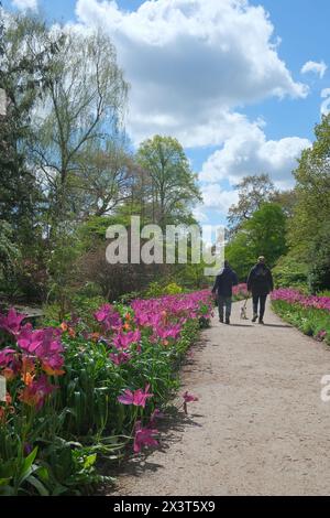 Ein Paar spaziert durch die Gärten von Dunham Massey Stockfoto