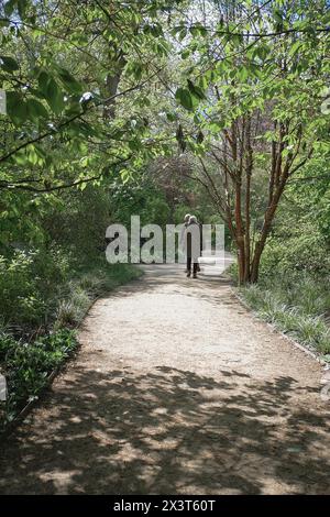 Ein Paar spaziert durch die Gärten von Dunham Massey Stockfoto