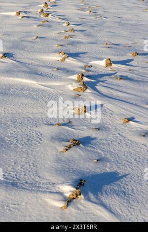 Ein Feld wurde mit Boden gepflügt, der teilweise mit Schnee bedeckt ist, im Winter ragen Bodenstücke unter dem Schnee hervor Stockfoto