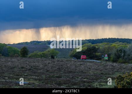 Telegraph Hill, Bramshaw, New Forest, Hampshire, Vereinigtes Königreich, April 2024: Wetter. Ein starker Regen oder eine Hageldusche hängen am Abend wie ein Vorhang am Horizont und schaffen eine dramatische Kulisse. Wärmeres Wetter wird für die kommende Woche prognostiziert. Quelle: Paul Biggins/Alamy Live News Stockfoto