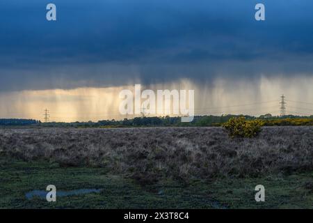 Telegraph Hill, Bramshaw, New Forest, Hampshire, Vereinigtes Königreich, April 2024: Wetter. Ein starker Regen oder eine Hageldusche hängen am Abend wie ein Vorhang am Horizont und schaffen eine dramatische Kulisse. Wärmeres Wetter wird für die kommende Woche prognostiziert. Quelle: Paul Biggins/Alamy Live News Stockfoto