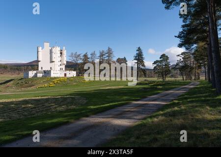 Die Auffahrt führt zu Braemar Castle, gesäumt von Bäumen, an einem sonnigen Frühlingsmorgen in Royal Deeside Stockfoto