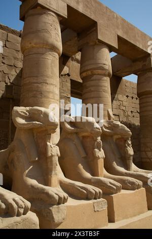 Sphinx mit RAM-Kopf, großer Hof, Karnak Tempelkomplex, UNESCO-Weltkulturerbe, Luxor, Ägypten Stockfoto