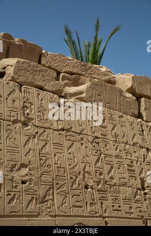 BasRelief der Hieroglyphen, Karnak Tempelkomplex, UNESCO-Weltkulturerbe, Luxor, Ägypten Stockfoto