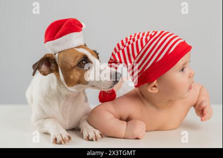 Süßer kleiner Junge und Jack Russell Terrierhund in santa-Hüten auf weißem Hintergrund. Stockfoto