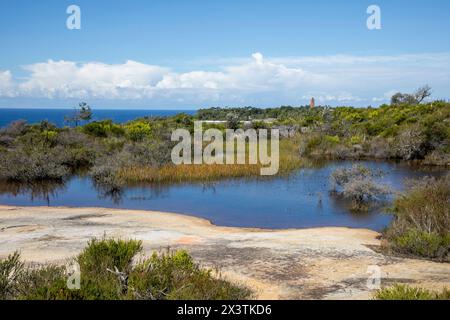 Old Quarry Sumpf auf North Head Manly, in der Nähe von Shelly Beach Lookout auf dem North Head Road Walking Trail, Sydney, NSW, Australien Stockfoto