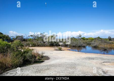 Old Quarry Sumpf auf North Head Manly, in der Nähe von Shelly Beach Lookout auf dem North Head Road Walking Trail, Sydney, NSW, Australien Stockfoto