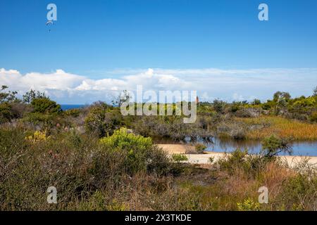 Old Quarry Sumpf auf North Head Manly, in der Nähe von Shelly Beach Lookout auf dem North Head Road Walking Trail, Sydney, NSW, Australien Stockfoto