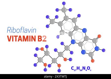 Abbildung der Molekülstruktur von Riboflavin oder Vitamin B2 Stock Vektor