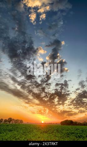 Dieses Bild fängt die ruhige Schönheit eines Sonnenaufgangs über üppigem Ackerland ein, während die goldenen Sonnenstrahlen über den Horizont blicken und ein warmes Leuchten ausstrahlen. Die dramatische Wolkenbildung am Himmel fügt der ruhigen ländlichen Szene ein kraftvolles und dynamisches Element hinzu, das den Beginn eines neuen Tages bedeutet. Atemberaubender Sonnenaufgang über üppigem Ackerland mit dramatischen Wolken. Hochwertige Fotos Stockfoto