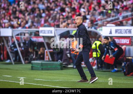 Lissabon, Portugal. April 2024. SC Braga Trainer Rui Duarte beim Liga Portugal Betclic Spiel zwischen SL Benfica und SC Braga in Estadio da Luz. (Endnote: SL Benfica 3 - 1 SC Braga) (Foto: Henrique Casinhas/SOPA Images/SIPA USA) Credit: SIPA USA/Alamy Live News Stockfoto