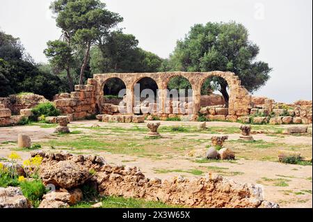 ALGERIEN - TOURISMUS - KUNST - GESCHICHTE - ARCHÄOLOGIE. Ruinen der Basilika in der antiken römischen Kolonie Tipasa Stockfoto