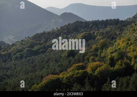 Parque Natural de Valderejo , municipio de Valdegovía, Alava, País Vasco, Spanien Stockfoto