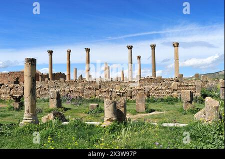 TOURISMUS - KULTUR - ARCHÄOLOGIE - ALGERIEN. Römische Ruinen: Christliche Basilika, Djemila, Algerien Stockfoto