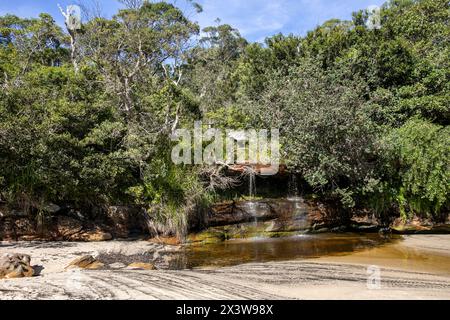 Collins Beach ( alias Collins Flat Beach) am North Head im Sydney Harbour National Park, ist der einzige Hafenstrand mit einem Wasserfall in Sydney, Australien Stockfoto