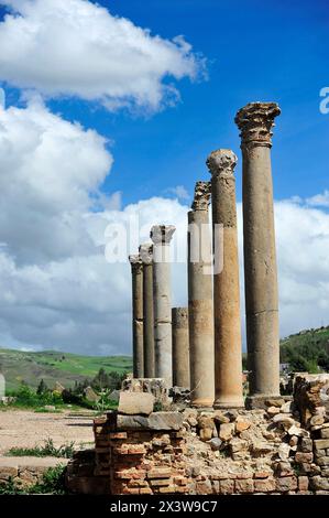 TOURISMUS - KULTUR - ARCHÄOLOGIE - ALGERIEN. Römische Ruinen: Christliche Basilika, Djemila, Algerien Stockfoto