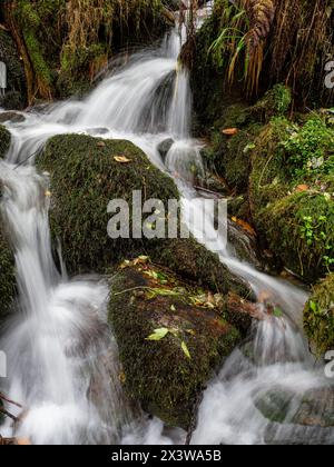 parque Natural Fragas del Eume,​ provincia de La Coruña, Galicien, Spanien Stockfoto