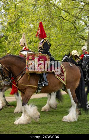 Das Trommelpferd der Blues und Royals, die jährliche Inspektion des Household Cavalry Mounted Regiment, des Major General, ist der ultimative Test für die spektakulärste und anspruchsvollste Zeremonialeinheit der britischen Armee. Es ist ein Test, den sie bestehen müssen, um an den bevorstehenden staatlichen Zeremonialaufgaben teilzunehmen. Rund 170 Pferde und das Personal des Household Kavallerry Mounted Regiments verlassen die Knightsbridge Kaserne und begeben sich zum „Football Pitch“-Bereich im Hyde Park, um sich zu bilden und vom General Officer, der die Household Division kommandiert, inspiziert zu werden. Sie werden von dem berittenen Band der Haushaltshöhle begleitet Stockfoto