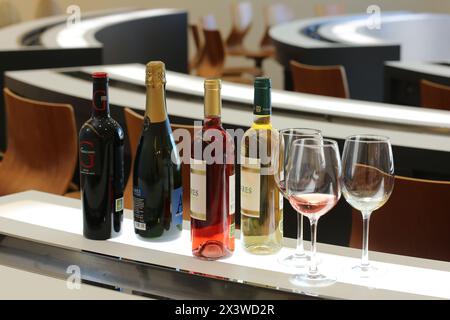 Weinverkostungssaal, Weingut Olarra, Rioja, LogroÒo, Spanien Stockfoto